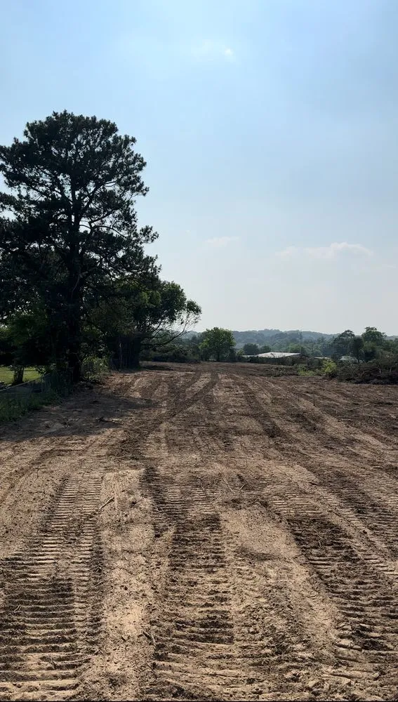 Professional yard cleanup service for homes across Rainbow City, AL - Everything Outdoors