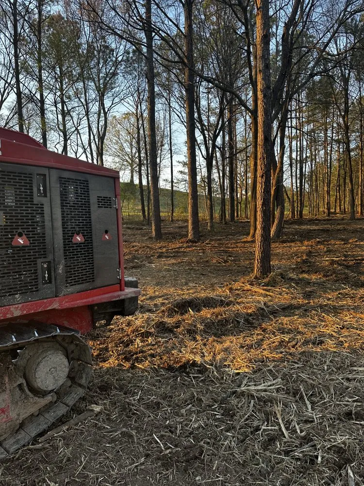 Trusted residential landscaping near you across Rainbow City, AL - Everything Outdoors