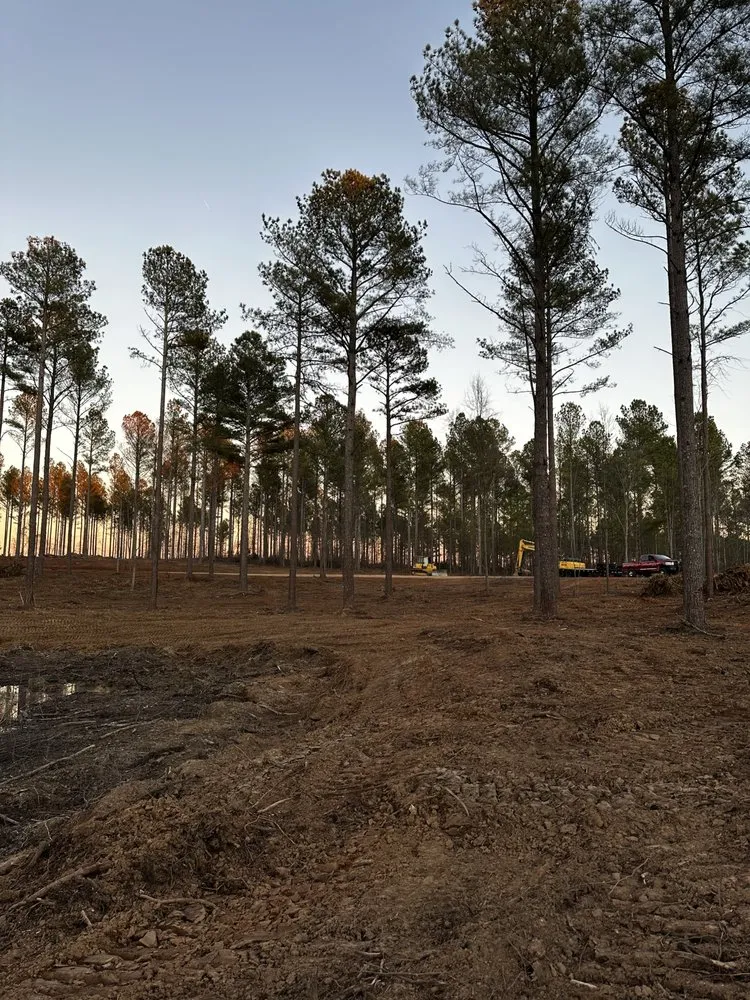 Expert landscape design in Rainbow City, AL by Everything Outdoors