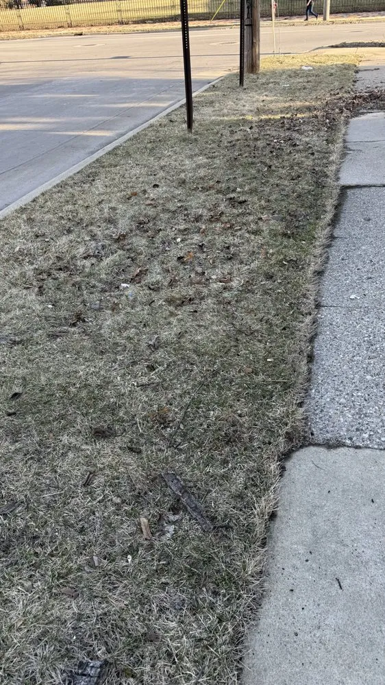 Local landscape installation in Stockbridge, MI - Everything Outdoors