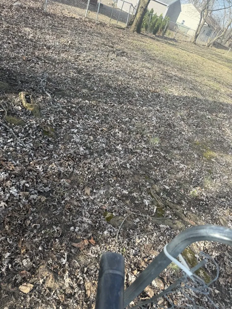 Local yard maintenance for homes in Stockbridge, MI by Everything Outdoors