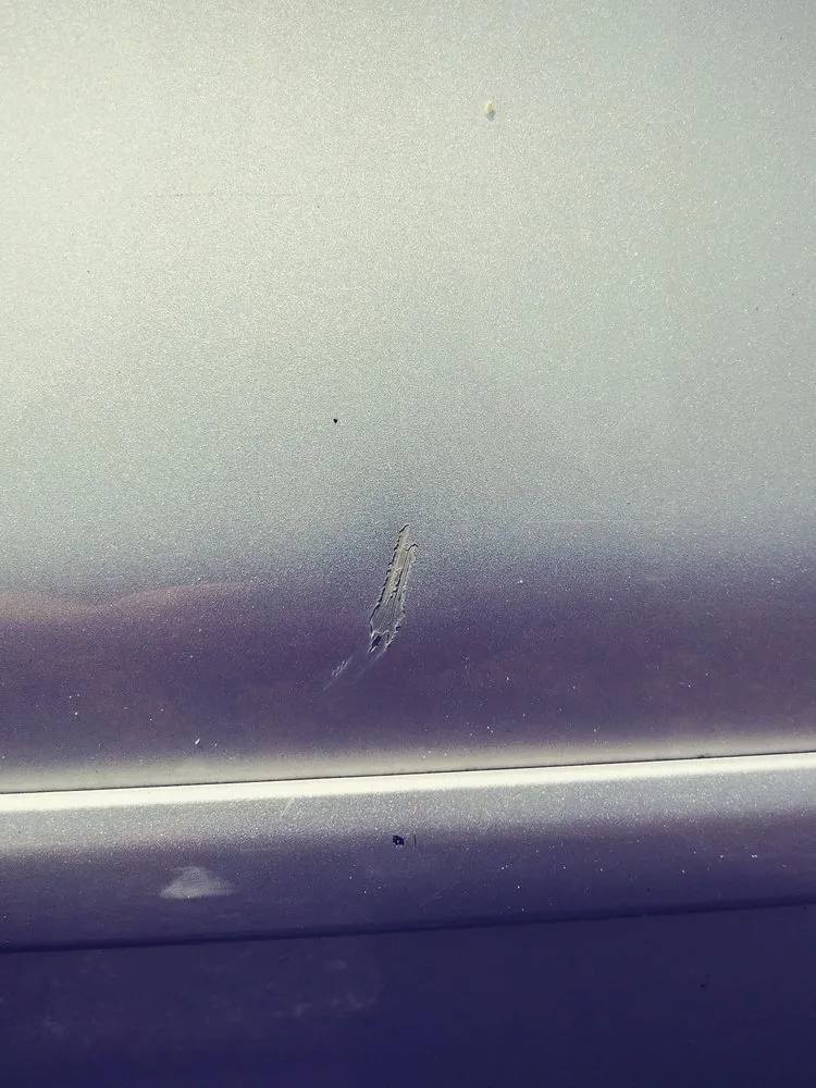 Reliable landscape installation in Tampa, FL - Everything Outdoors