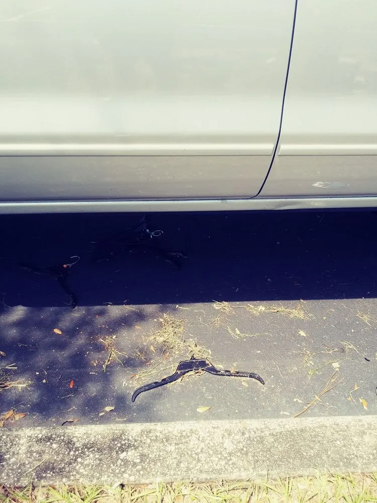 Expert lawn care service for residential properties in Tampa, FL by Everything Outdoors