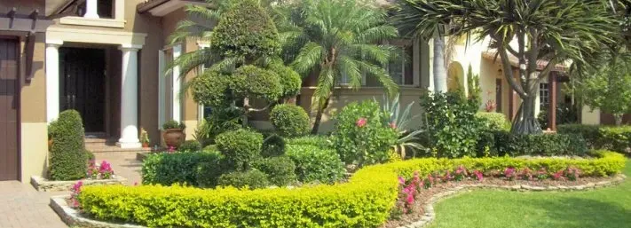 Affordable lawn mowing service near you in Tampa, FL by Everything Outdoors