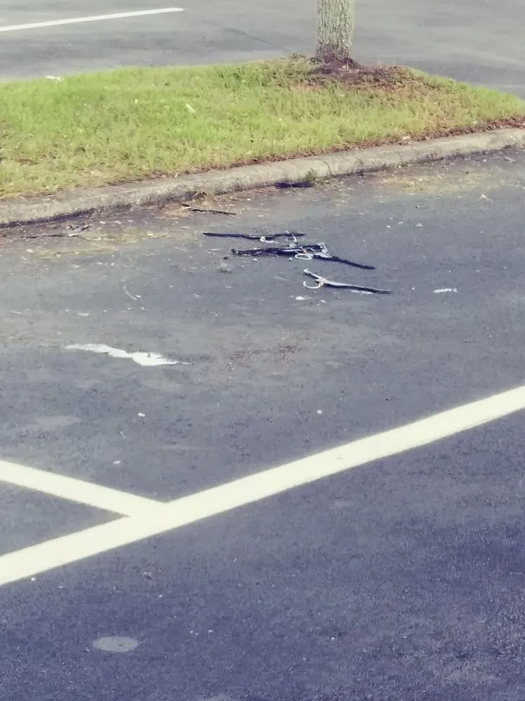 Expert garden landscaping experts serving Tampa, FL - Everything Outdoors