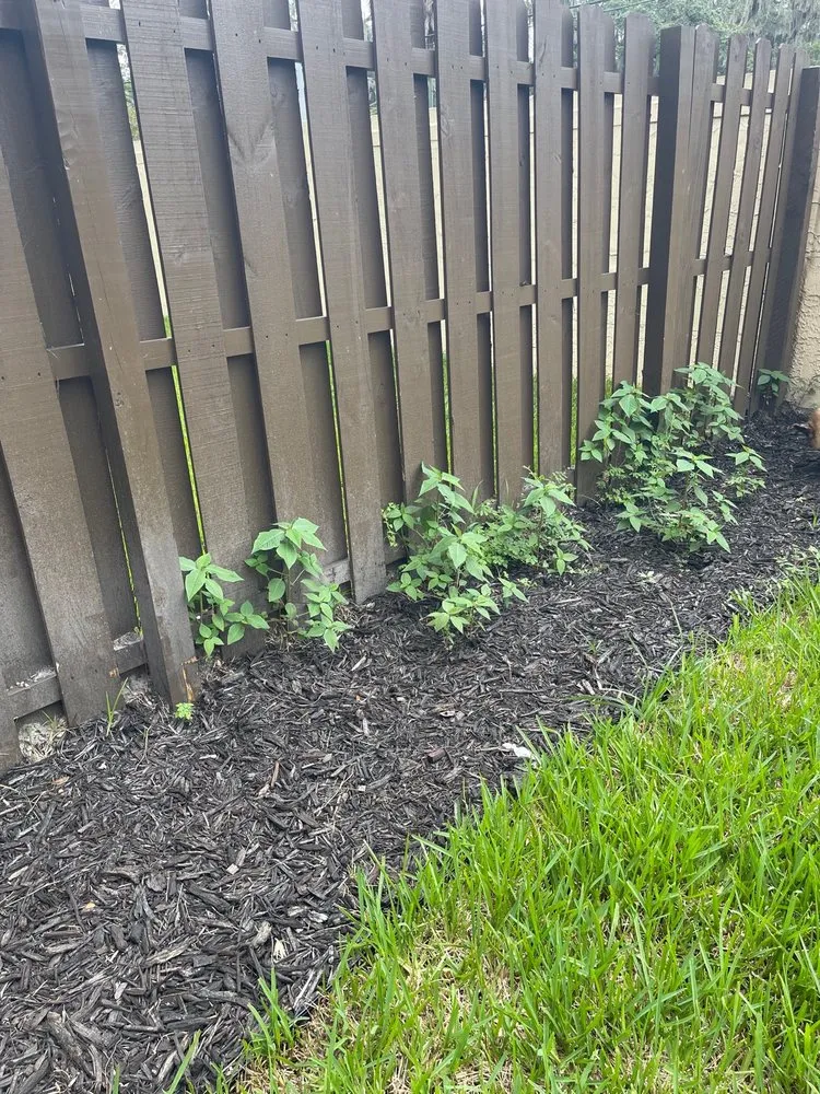 Trusted landscaping services in Tampa, FL by Everything Outdoors