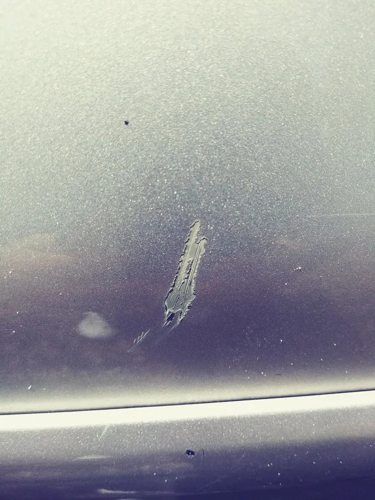 Top-rated garden landscaping in Tampa, FL by Everything Outdoors