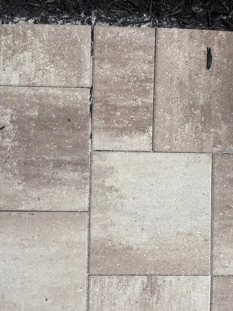 Top-rated garden landscaping in Tampa, FL - Everything Outdoors