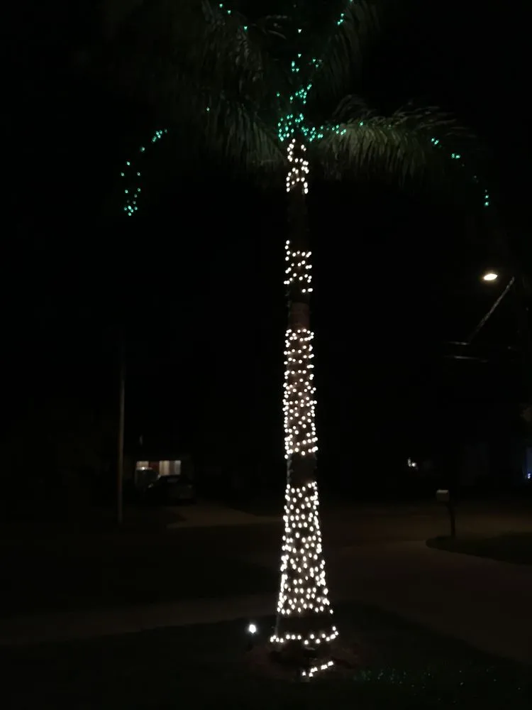 Local landscape installation for homes across Tampa, FL - Everything Outdoors