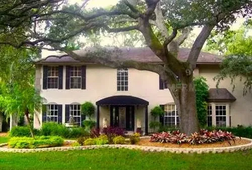 Reliable lawn care service in Tampa, FL - Everything Outdoors