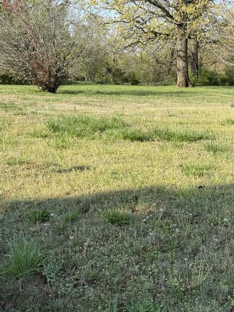 Professional garden landscaping near you across Yellville, AR - Everything Outdoors