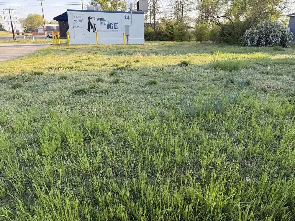 Trusted yard maintenance for homes in Yellville, AR by Everything Outdoors