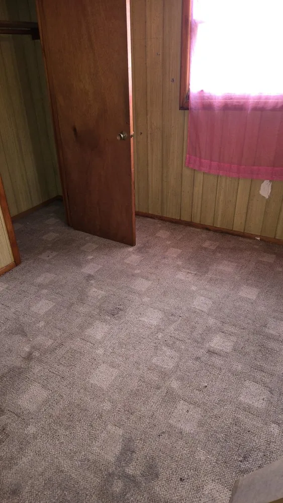 Custom landscape installation in Chicago, IL - Everything Professional Services