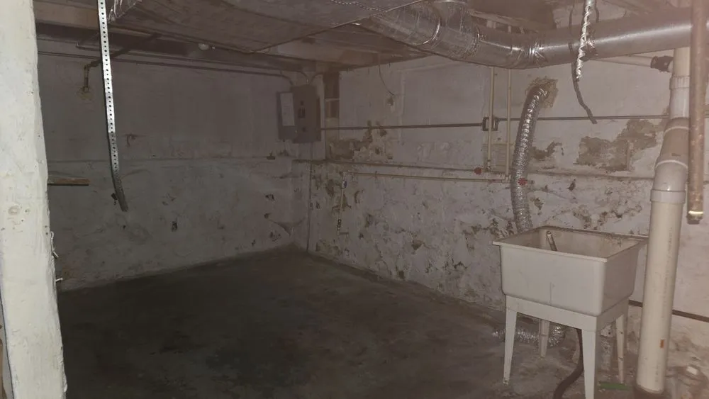 Professional yard cleanup service experts serving Chicago, IL - Everything Professional Services