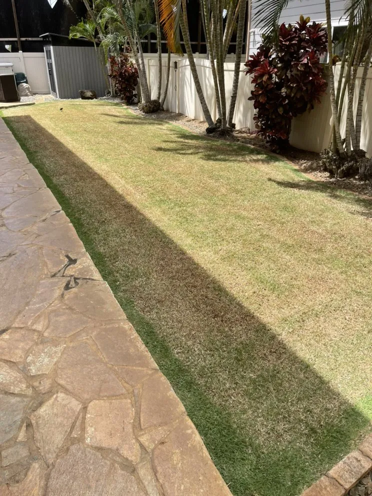 Affordable landscape installation experts serving Urban Honolulu, HI - Everything Sprinkler and Maintenance