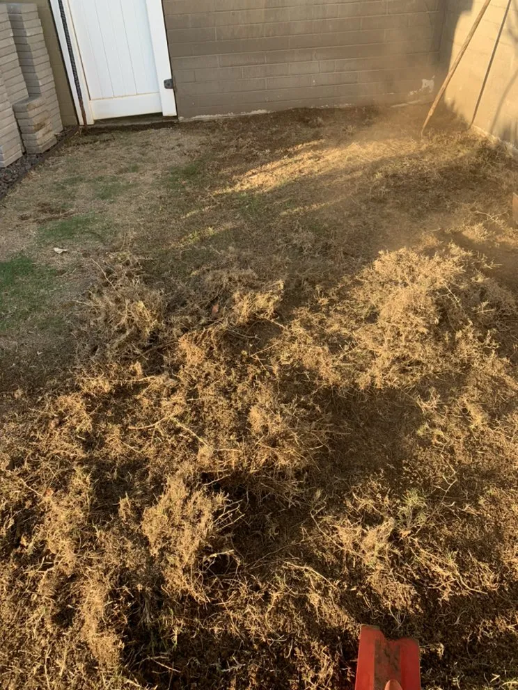 Affordable garden landscaping for outdoor upgrades across Urban Honolulu, HI - Everything Sprinkler and Maintenance