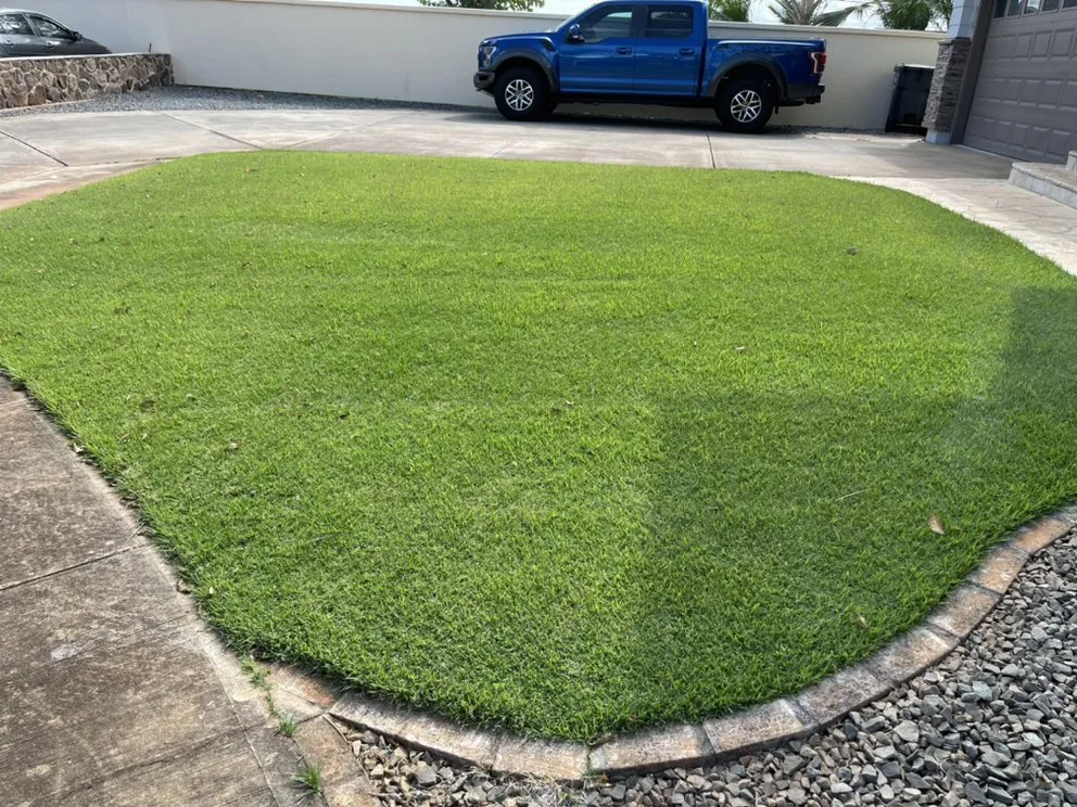 Trusted lawn mowing service for residential properties in Urban Honolulu, HI by Everything Sprinkler and Maintenance