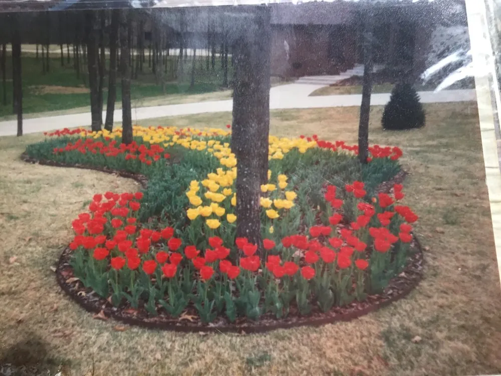 Trusted yard maintenance in Huntsville, AR by Everything Sprinklers