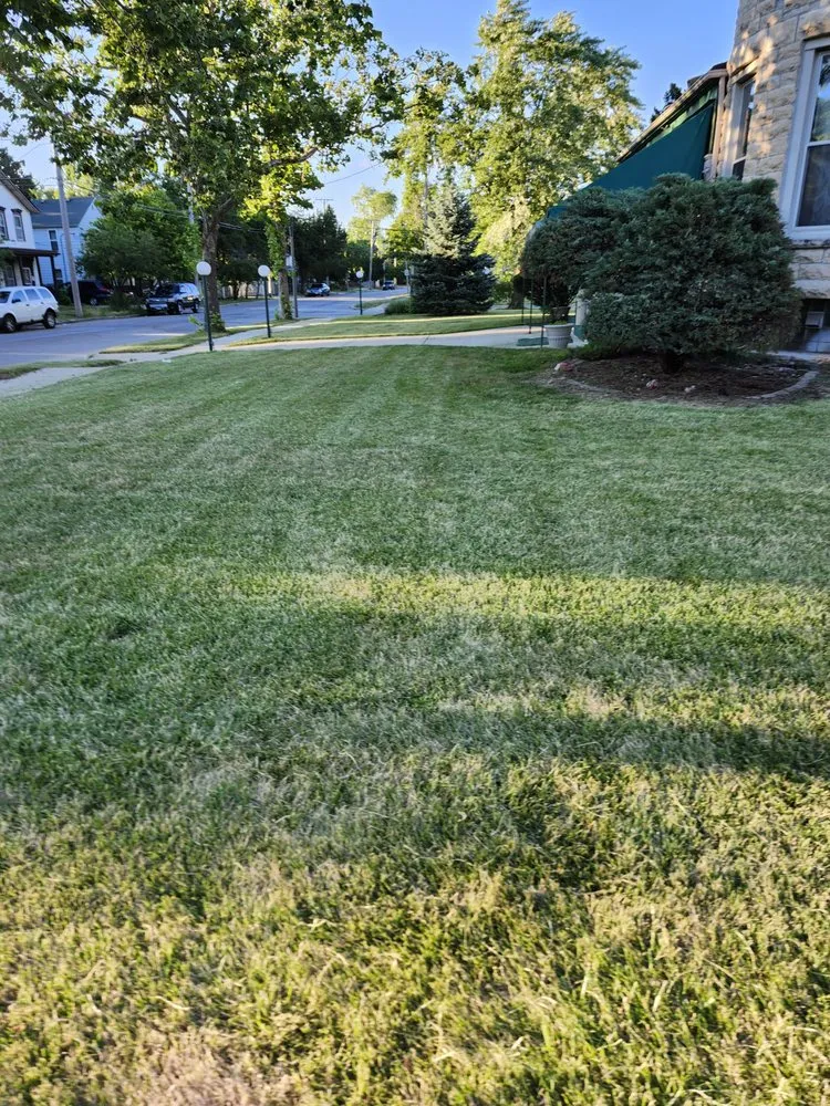 Expert lawn mowing service in Joliet, IL - Everything Under The Sun Construction