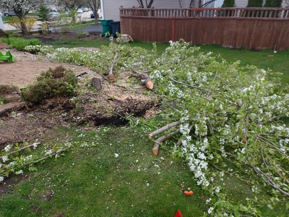 Affordable outdoor landscaping for year-round maintenance across Joliet, IL - Everything Under The Sun Construction