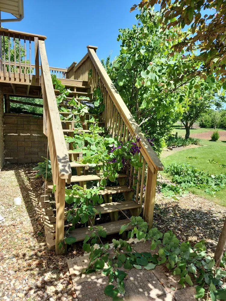 Trusted landscaping services in Joliet, IL by Everything Under The Sun Construction