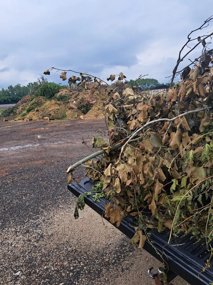 Reliable landscape design experts serving Joliet, IL - Everything Under The Sun Construction