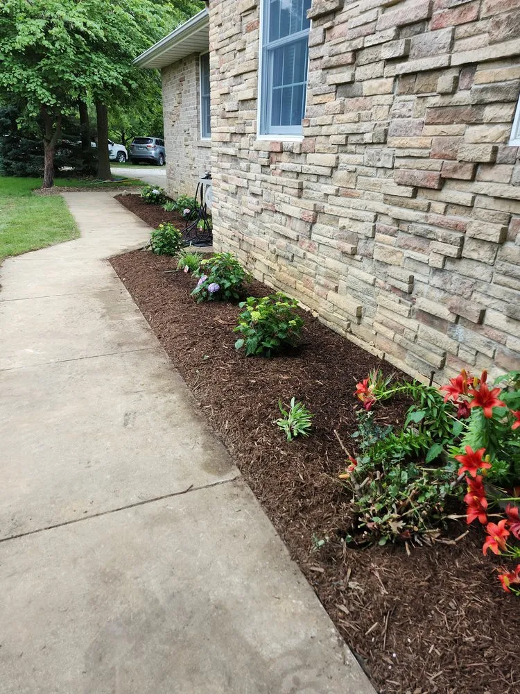 Trusted yard cleanup service in Joliet, IL by Everything Under The Sun Construction