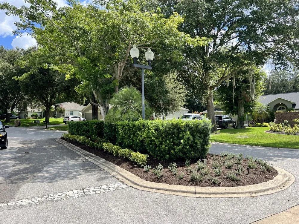 Reliable landscape design for beautiful yards across Kissimmee, FL - Everything Under The Sun