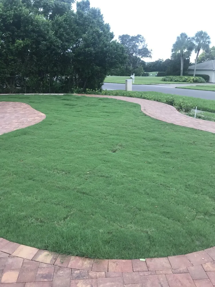 Reliable landscape design for beautiful yards across Kissimmee, FL - Everything Under The Sun