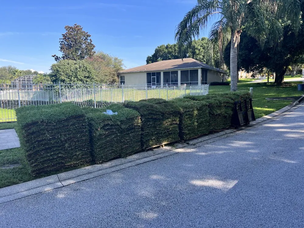 Professional outdoor landscaping in Kissimmee, FL by Everything Under The Sun