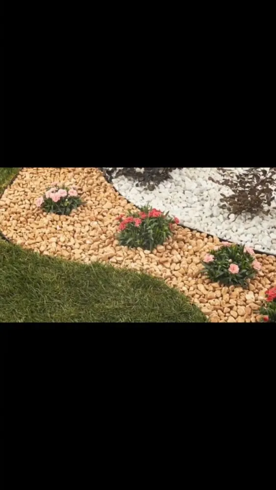 Reliable yard cleanup service in Ontario, CA by Everything Work Tree