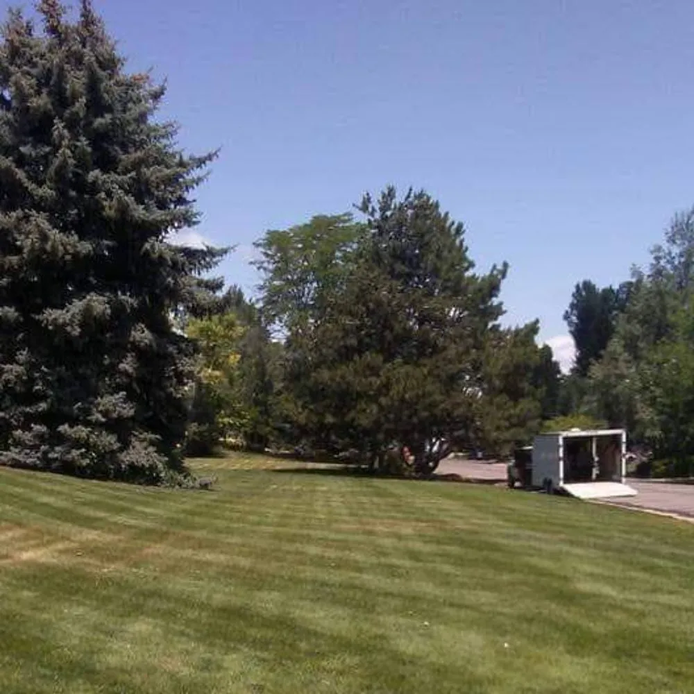 Top-rated residential landscaping in Fort Collins, CO by Everywhere Lawn Care
