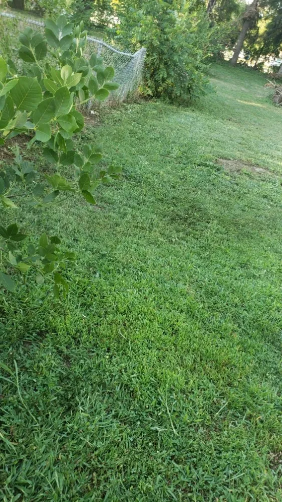 Expert landscape design experts serving Sioux Falls, SD - EVLO Solutions Lawn Care