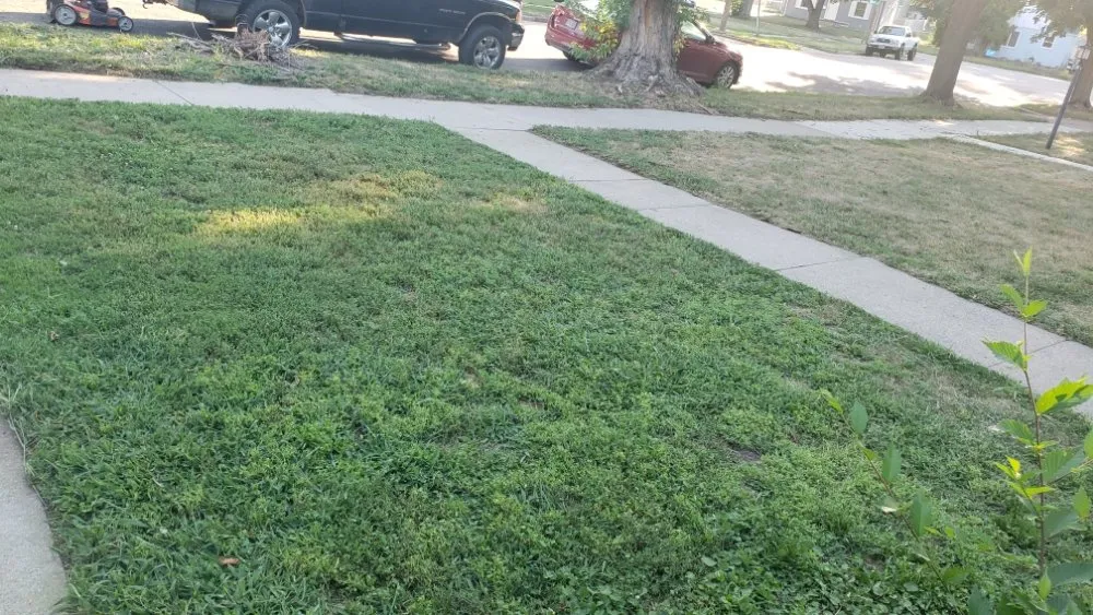 Top-rated landscape design for beautiful yards across Sioux Falls, SD - EVLO Solutions Lawn Care