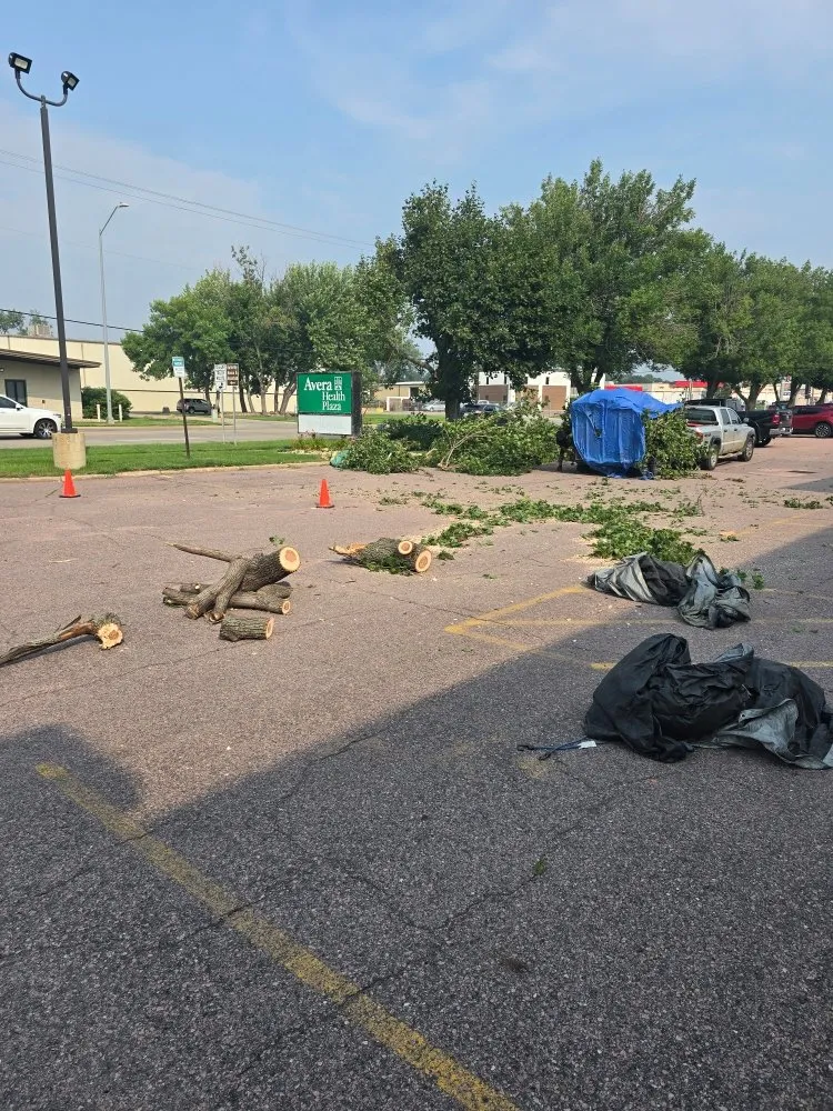 Custom lawn care service in Sioux Falls, SD by Evlos Property Maintenance