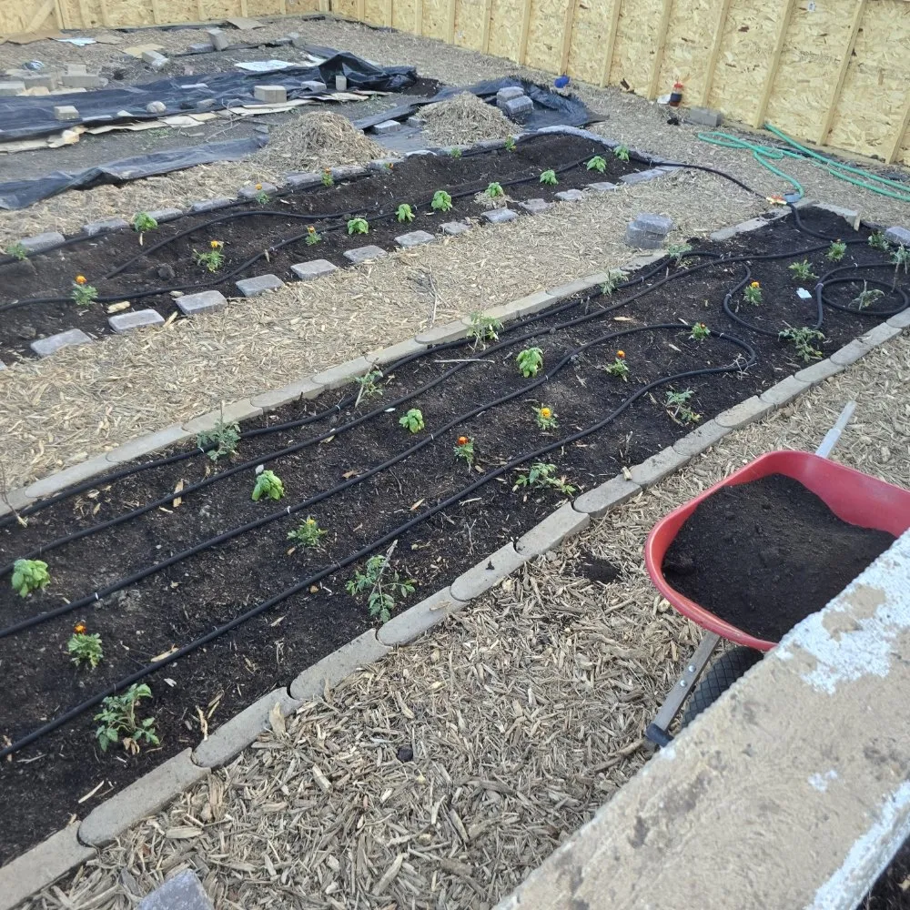 Local landscaping services for homes across Sioux Falls, SD - Evlos Property Maintenance