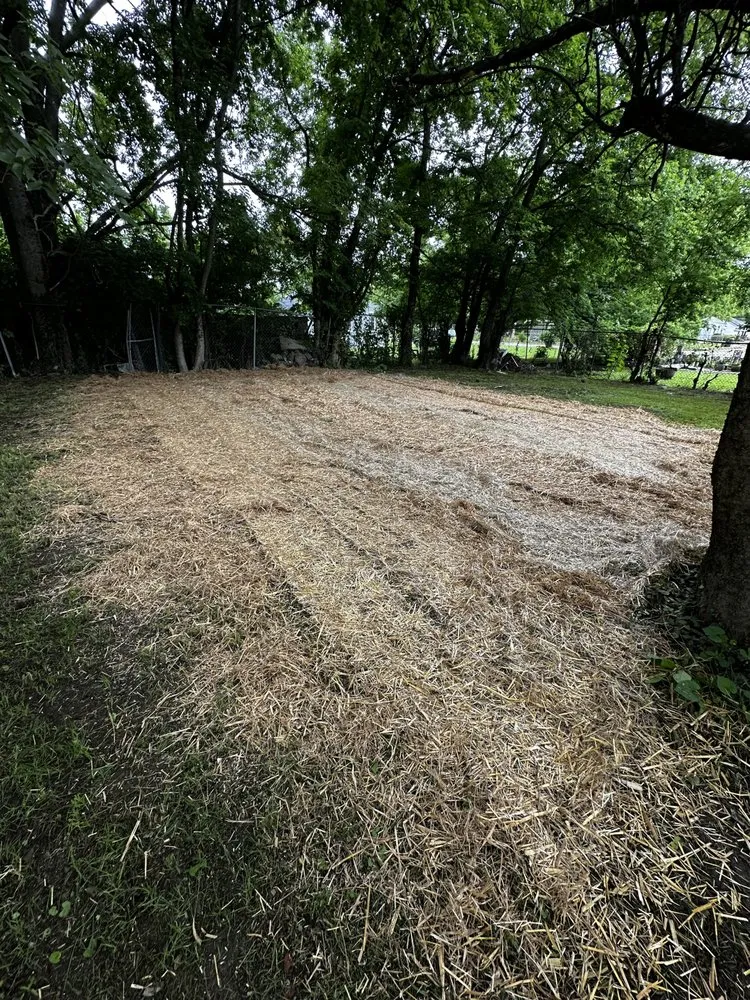 Reliable lawn care service near you across Chattanooga, TN - Evolution Land Services