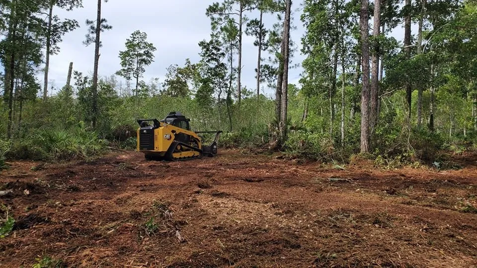 Trusted landscaping services experts serving Chattanooga, TN - Evolution Land Services