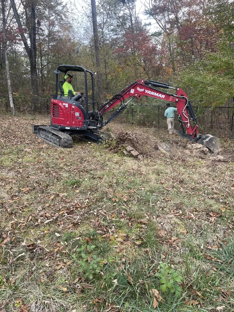 Professional yard cleanup service experts serving Chattanooga, TN - Evolution Land Services