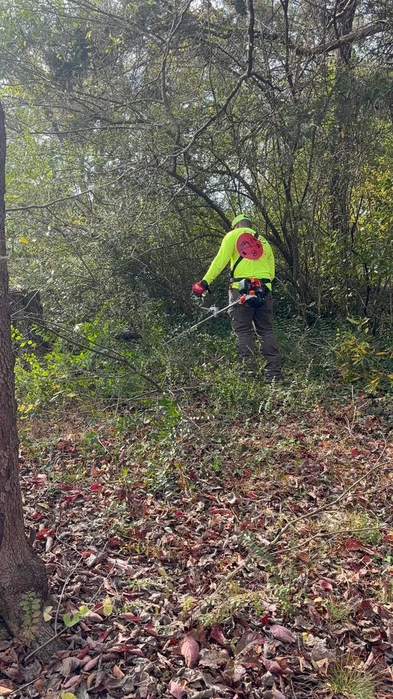 Expert lawn care service in Chattanooga, TN - Evolution Land Services