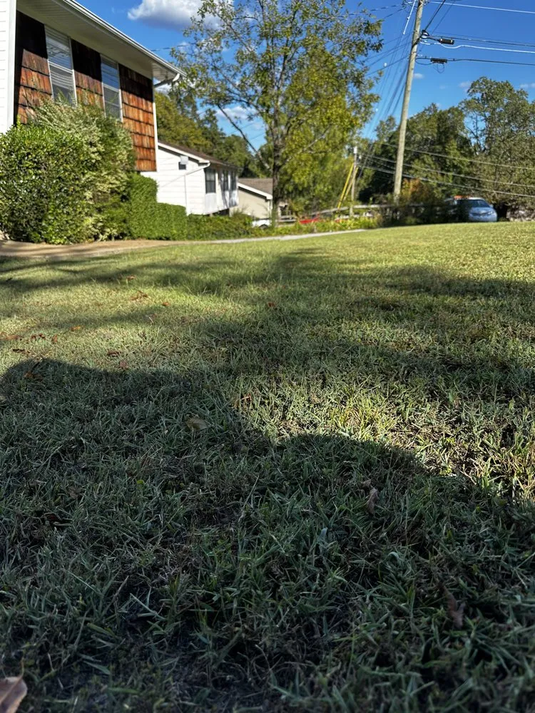 Professional residential landscaping in Chattanooga, TN by Evolution Land Services