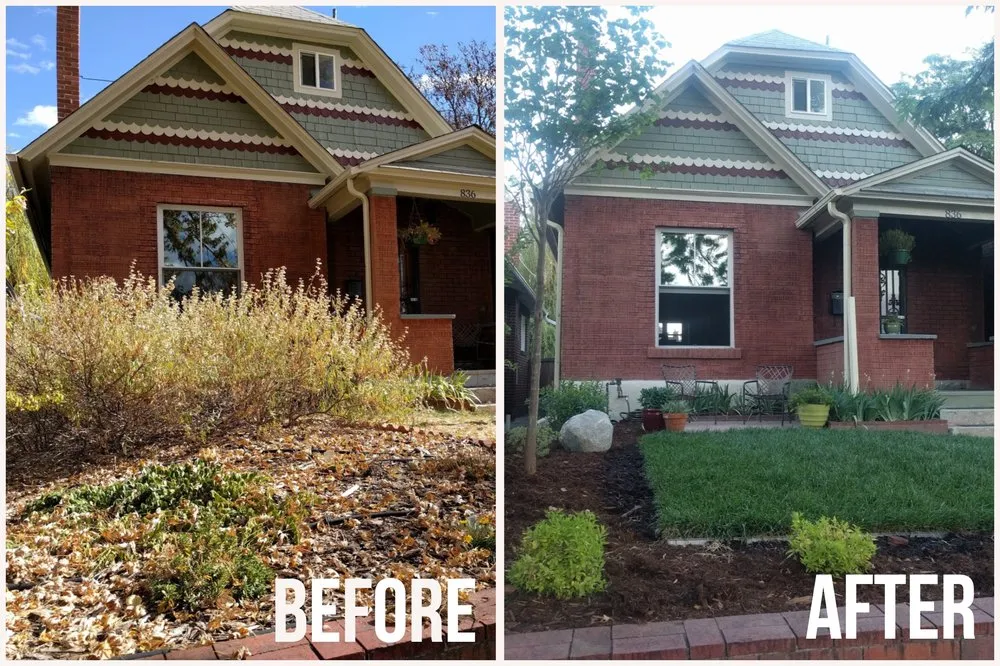 Custom lawn care service in Denver, CO - Evolution Landscape and Design