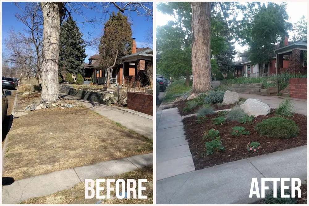 Custom lawn mowing service in Denver, CO by Evolution Landscape and Design