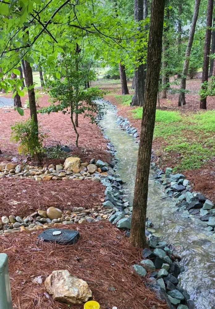 Local yard cleanup service experts serving Bunnlevel, NC - Evolution Landscape Solutions