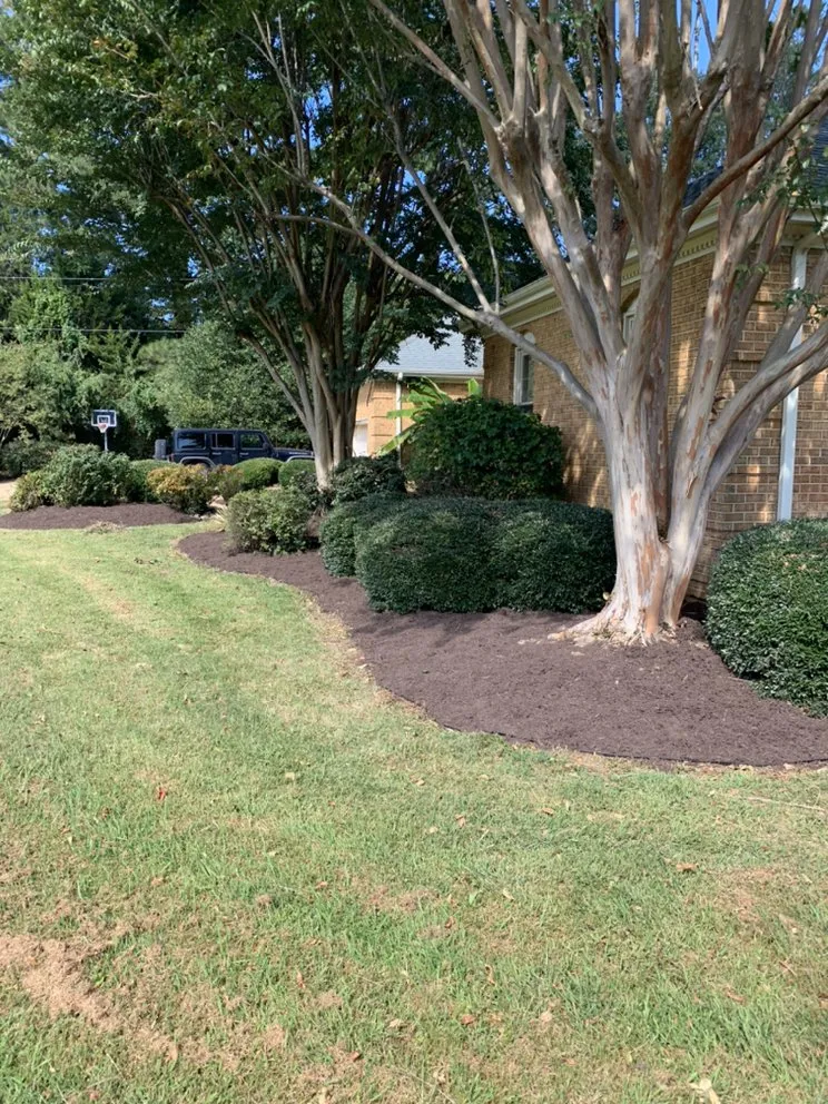 Expert yard cleanup service for residential properties across Virginia Beach, VA - Evolution Landscapes