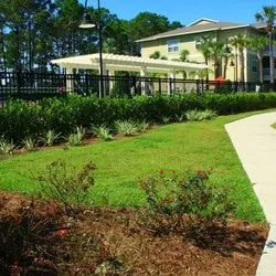 Top-rated outdoor landscaping in East Palo Alto, CA - Evolution Landscaping & Tree Services