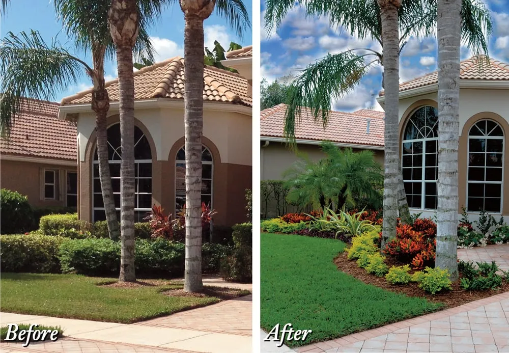 Expert landscape design in East Palo Alto, CA - Evolution Landscaping & Tree Services