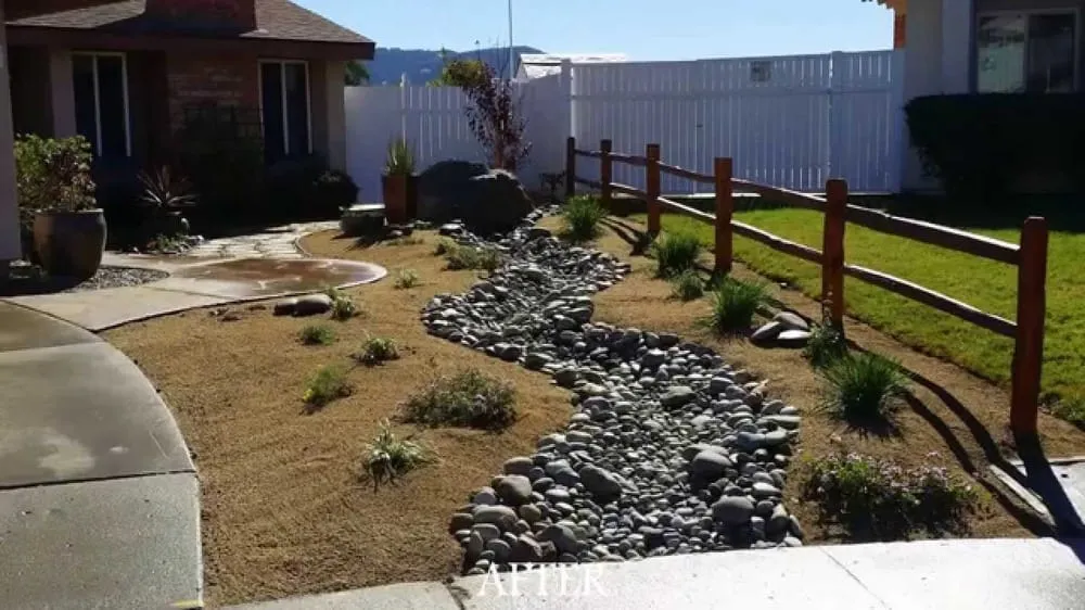 Affordable landscaping services for year-round maintenance in East Palo Alto, CA by Evolution Landscaping & Tree Services
