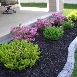 Affordable yard maintenance in East Palo Alto, CA by Evolution Landscaping & Tree Services