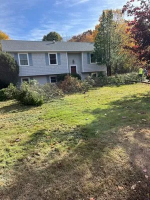 Evolution Landscaping and Construction